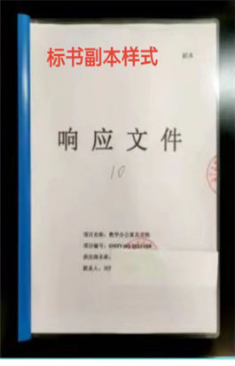標(biāo)書副本樣式
