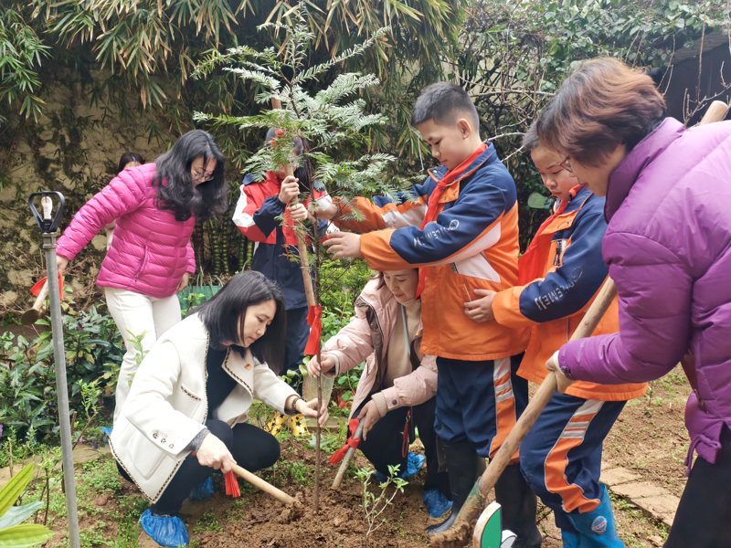 桂林市中醫醫院攜手翠竹小學開展“杏林青竹”文化品牌植樹節活動